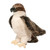 Osprey Plush Animal