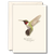 Hummingbird Notecard Set