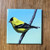 American Goldfinch Magnet
