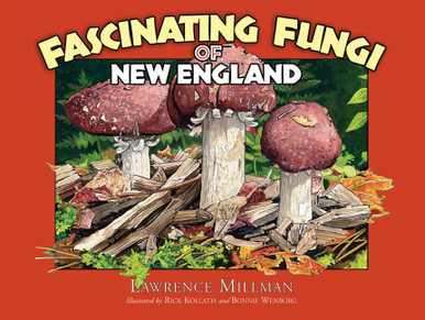 Fascinating Fungi of New England - Mass Audubon Shop