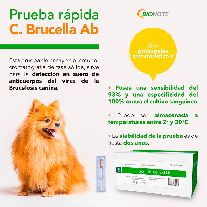 ​Canine Brucellosis