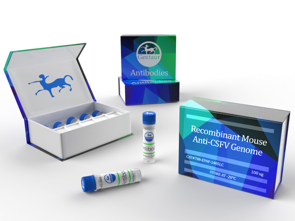 Recombinant Mouse Anti-CSFV Genome