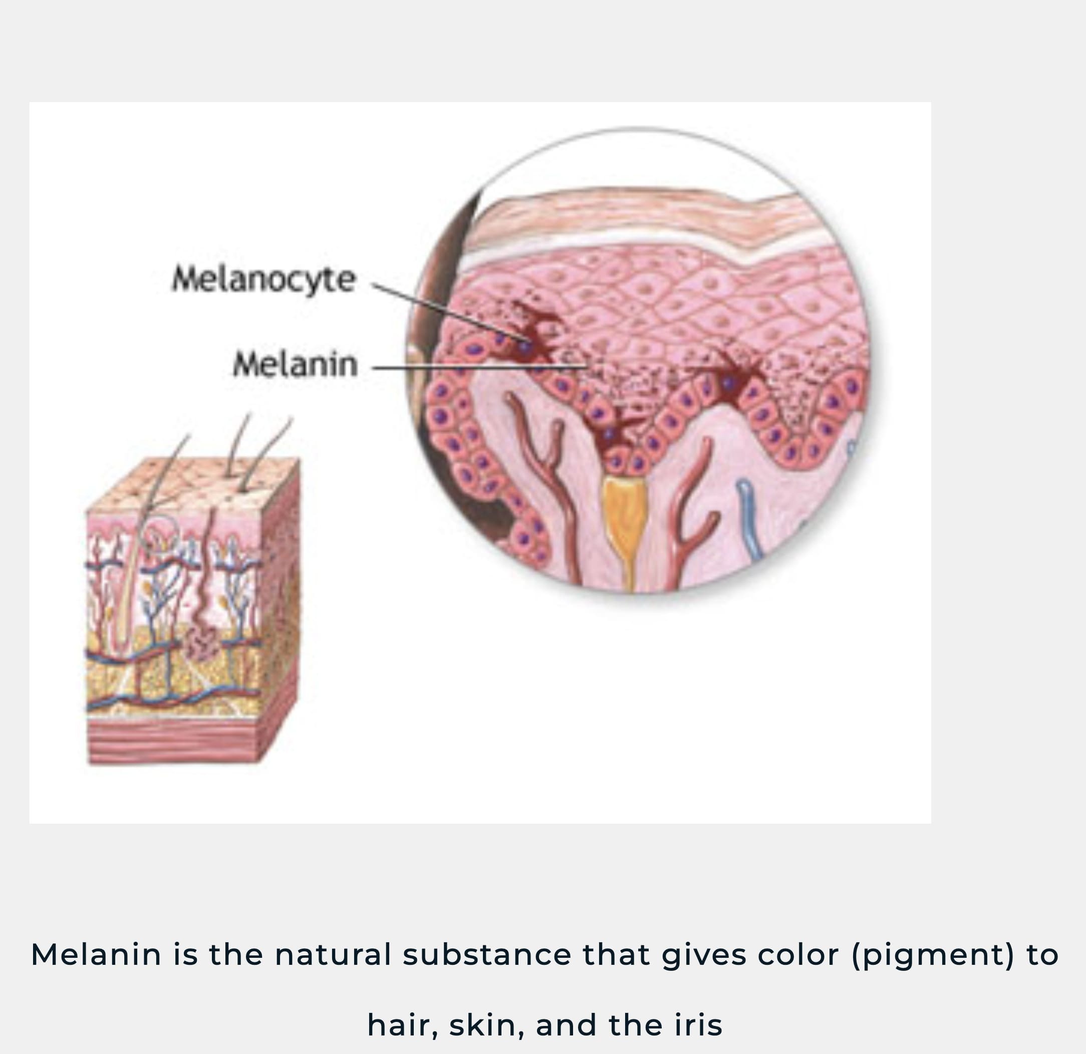 Melanin is the natural substance that gives color (pigment) to hair, skin, and the iris