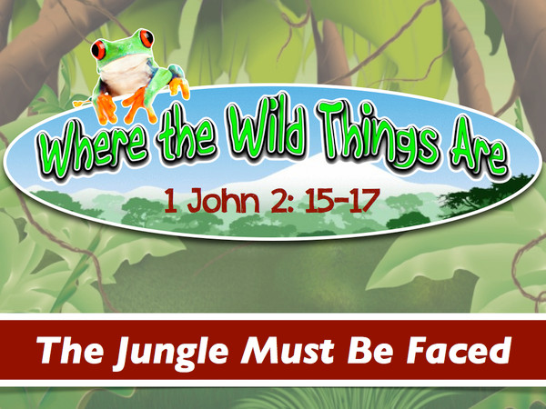 Realizing the jungle is there before us, how are we to approach it? How will we know what direction to turn to stay safe? In this lesson, Joe explains that God has provided a pathway of Light. All we have to do is to walk with the One - Jesus - who is on that pathway.

Audio Length: 41:29