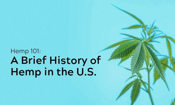 Quick Hemp History Lesson