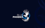 BluePhoenixHeals