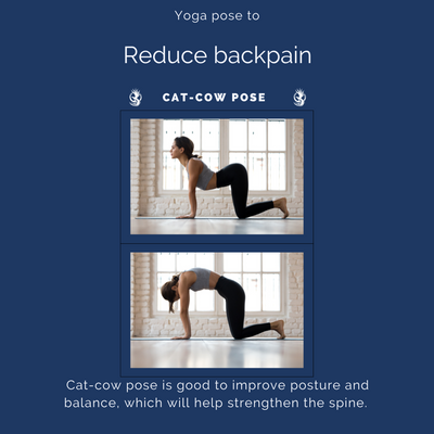 Suffer From Back Pain?