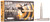 Federal Premium 30-06 Springfield Ammo 180 Grain Trophy Bonded Tip - P3006TT1