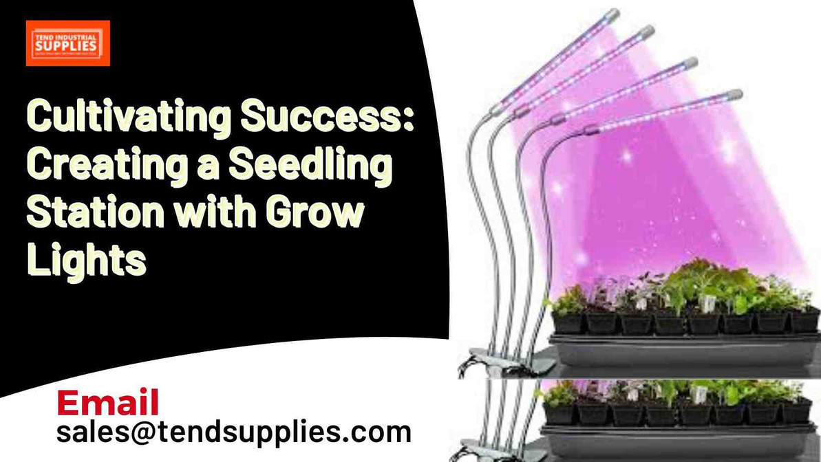 Cultivating Success: Creating a Seedling Station with Grow Lights