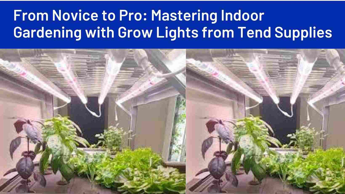 ​From Novice to Pro: Mastering Indoor Gardening with Grow Lights from Tend Supplies