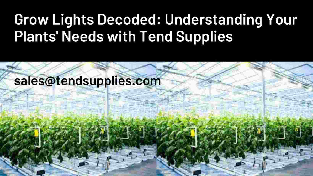 Grow Lights Decoded: Understanding Your Plants' Needs with Tend Supplies