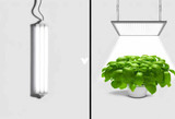 Fluorescent vs. LED Grow Lights: A Head-to-Head Comparison