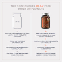 Vitex Berry Premium Chasteberry 4:1