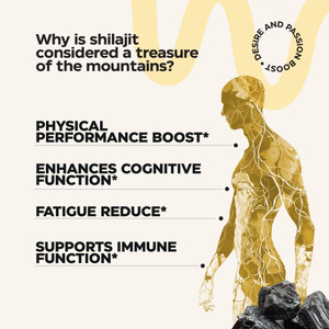 Shilajit Resin 83 Servings 50g