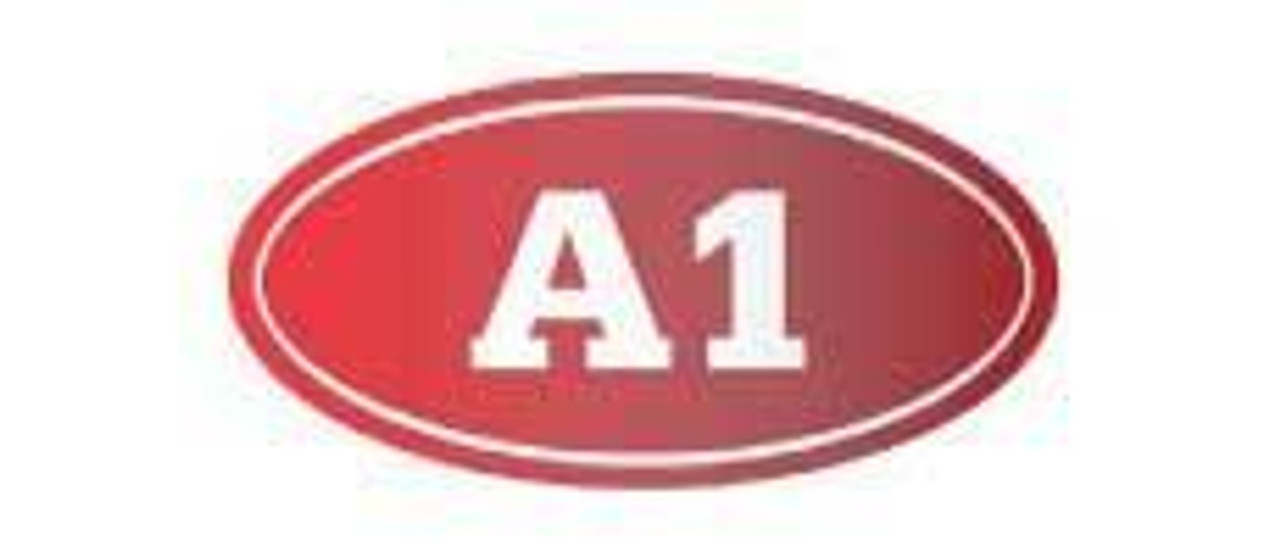 A1 Security