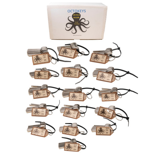 OCTOKEYS - GM 8 Cut Laser Keys For Doors / Ignitions - Try-out Set of 128 Keys