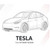 LOKI PRO Full Tesla Software Package for LOKI PRO Diagnostic Scanner