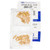 LAB LAB 34 102 .200-2T Schlage Top Pin - 100 Pack LAB