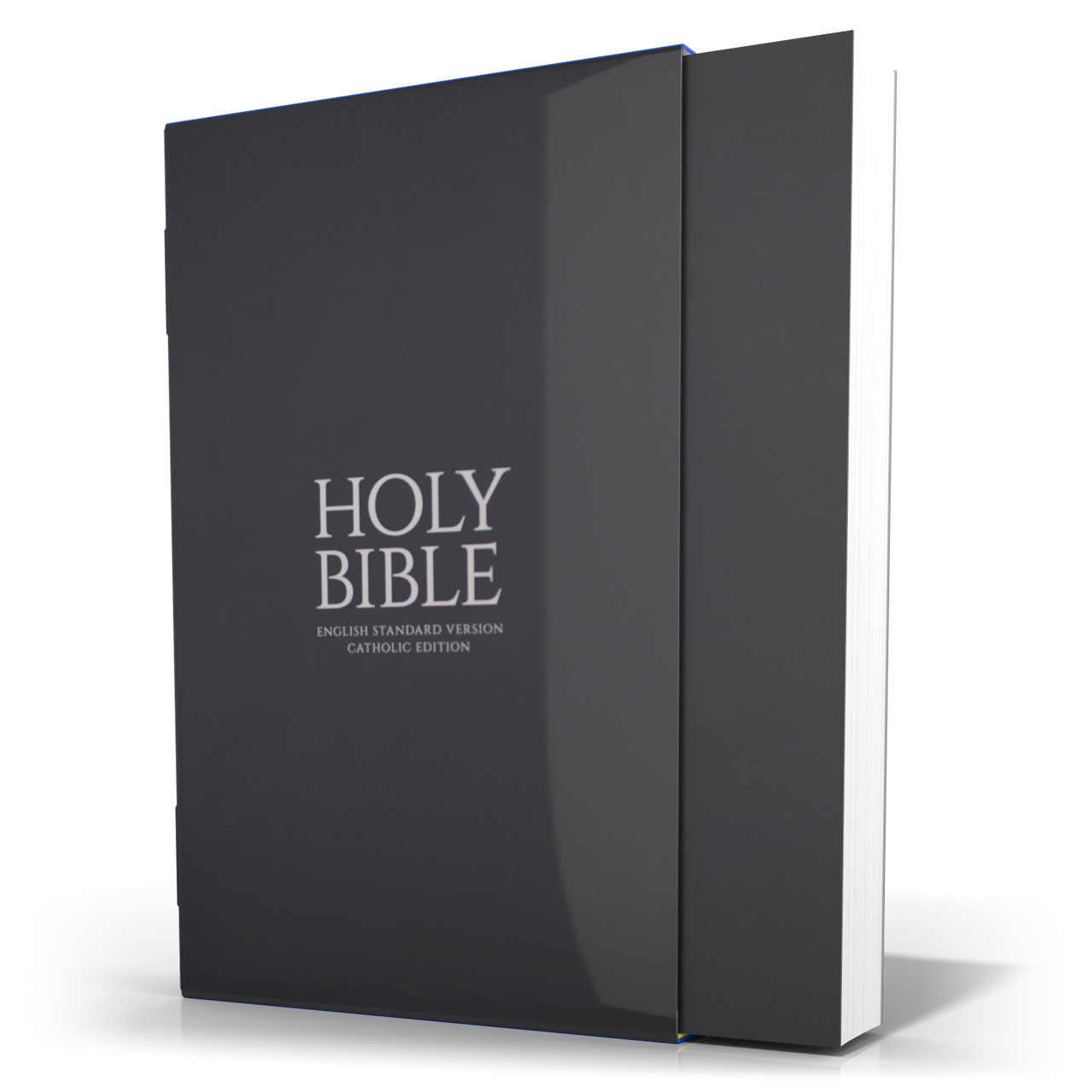 The English Standard Version Bible:英語版 The Holy Bible: English Standard Version: Bible English