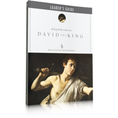 David the King - Leader Guide