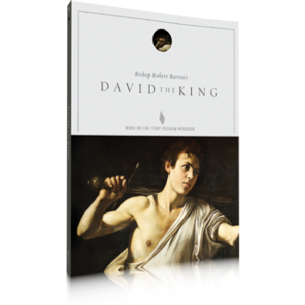 David the King - Study Guide