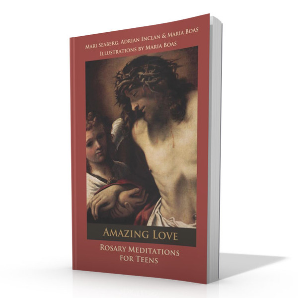 Amazing Love: Rosary Meditations for Teens