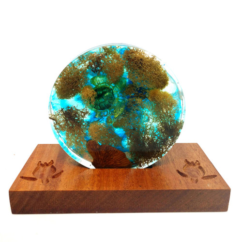 "Turquoise Tortuga" Sea Turtle Fantasea Resin Waterscape