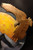 Detail of "Days End" Airbrushed Canvas with Wood Detail