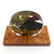 Top-down view of "Dark Shell" Sea Turtle Fantasea Resin Waterscape