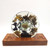 "Pale Turtle" Sea Turtle Fantasea Resin Waterscape