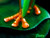 Foot detail of "Green Tree Frog on Lilypad" Airbrushed Canvas