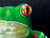 Face detail of "Green Tree Frog on Lilypad" Airbrushed Canvas