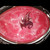 Coral Awakening Tray Art