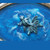 Detail of Swimming for Inspiration Tray
