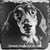 Dog Example of Pet and Memorial Slate Coaster