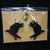 Black Acrylic Crow Flight Earrings
