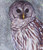 Ethereal Owl 2 Mixed Media Owl Photo Art Detail