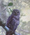 Ethereal Owl 1 Mixed Media Owl Photo Art Detail