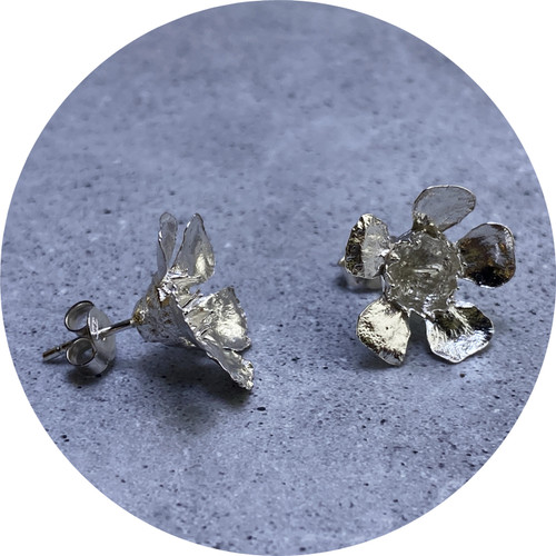 Olivia Dryden- Geraldton Wax Stud Earrings (Medium), Sterling Silver