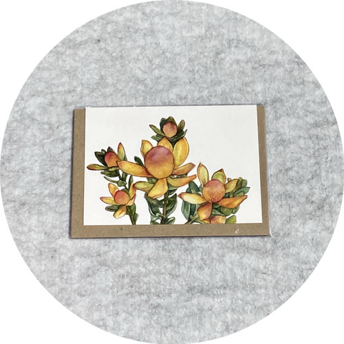 Elaine Camlin - Australian Native Collection: 'Cloudbank Ginny' Card