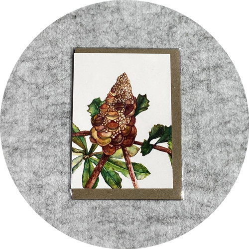 Elaine Camlin - Australian Native Collection: 'Coastal Banksia Pod' Card