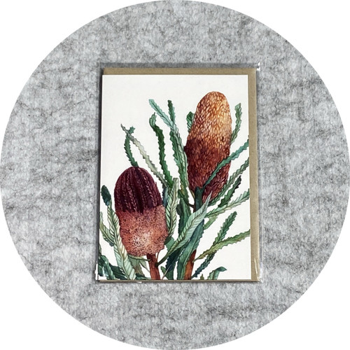 Elaine Camlin - Australian Native Collection: 'Woolly Banksia' Card