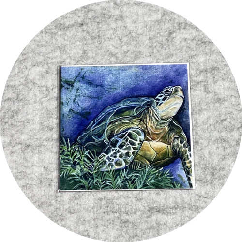 Elaine Camlin - Under the Sea Collection: 'Green Sea Turtle' Card