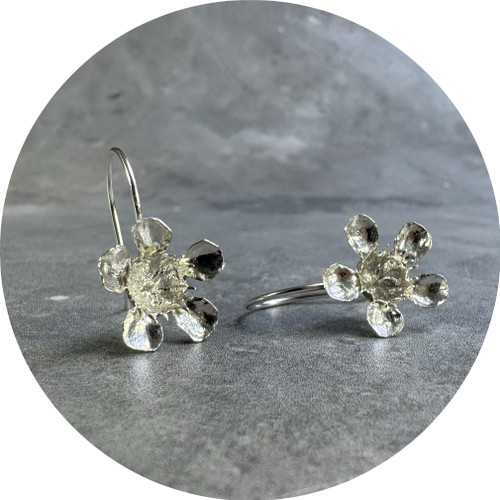Olivia Dryden - Geraldton Wax Hook Earrings. Sterling Silver