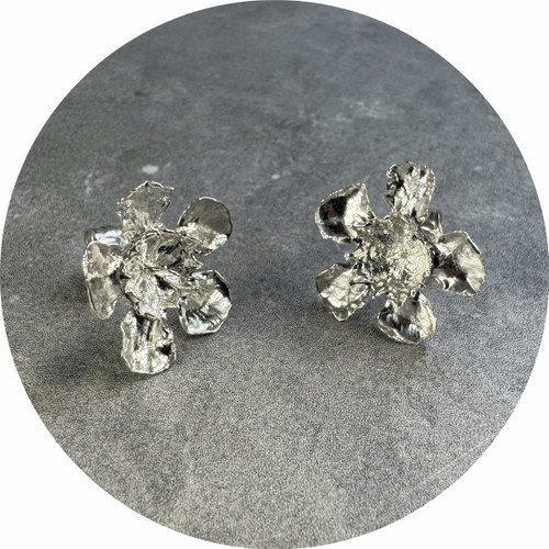 Olivia Dryden - Geraldton Wax Stud Earrings. Sterling Silver
