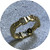 Ada Hodgson - Garden Path Ring (size P), 9ct gold