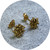 Virginia Sprague - Remnant Series Stud Earrings small, 9ct Yellow Gold