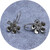 Olivia Dryden- Geraldton Wax Hook Earrings (Medium), Sterling Silver