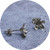 Olivia Dryden- Geraldton Wax Stud Earrings (small), Sterling Silver