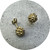 Manuela Igreja - Sheoak Stud Earrings, Yellow Gold Plated Sterling Silver
